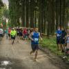 pferd-werkzeuge-lauf-06-2017 (666)