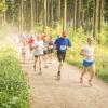 pferd-werkzeuge-lauf-06-2017 (387)
