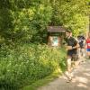 pferd-werkzeuge-lauf-06-2017 (276)