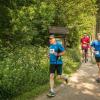 pferd-werkzeuge-lauf-06-2017 (302)